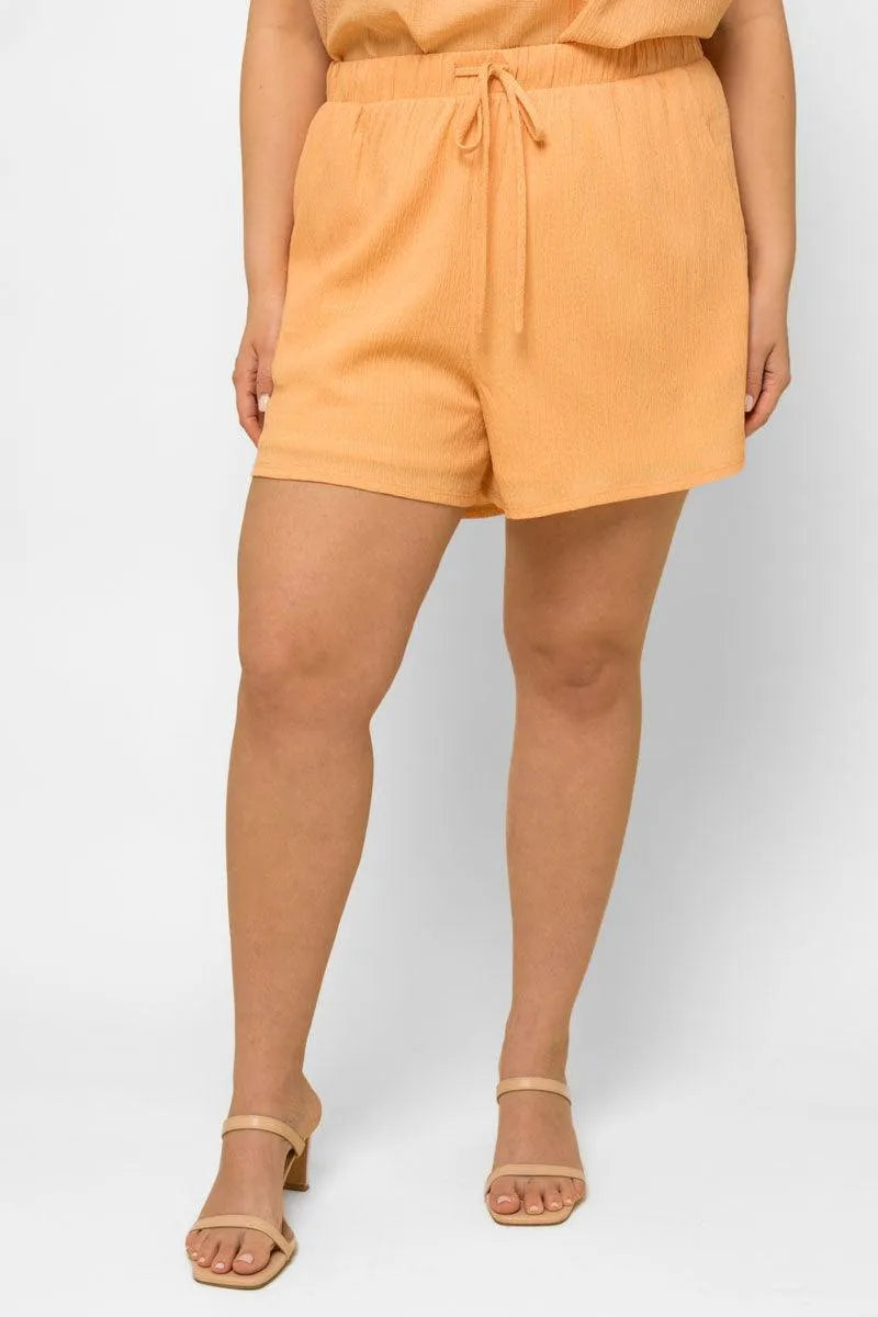 Plus Size Sleeveless Babydoll Top & Elastic Waist Shorts Set - Tasha Apparel Wholesale