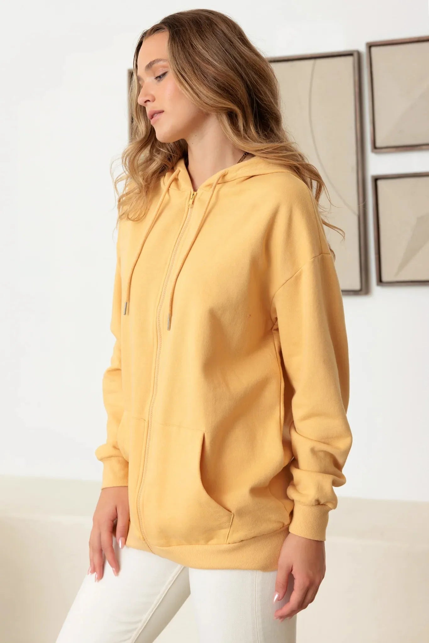 Zip-Up Long Sleeve Two Pocket Hooded Sweatshirt - Tasha Apparel Wholesale