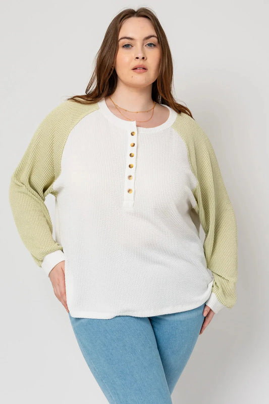 Plus Size Long Raglan Sleeves Front Button Top - Tasha Apparel Wholesale
