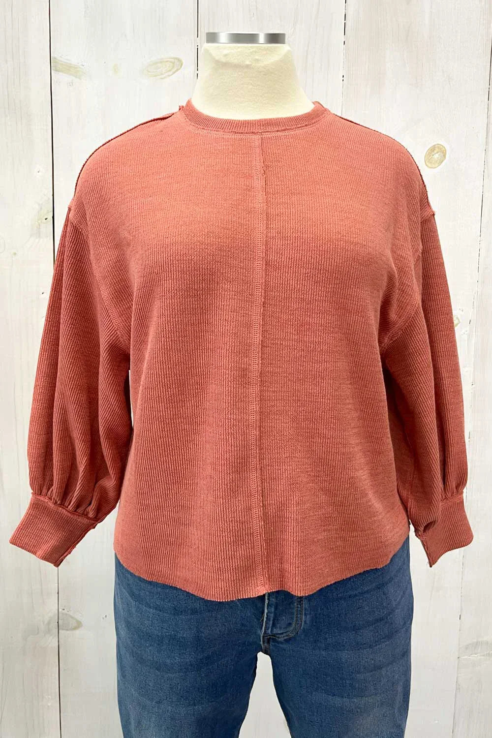 Plus Size Balloon Sleeve Crew Neck Relaxed Fit Boutique Top - Tasha Apparel Wholesale