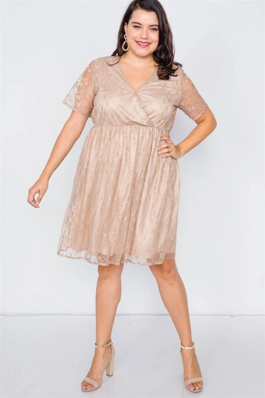 Taupe Plus Size Lace Fit & Flare Dress - Tasha Apparel Wholesale