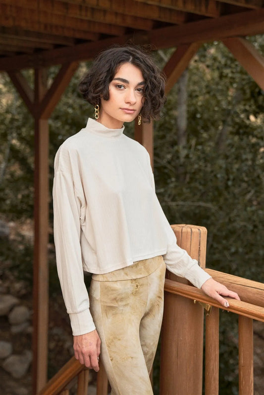 Pristine Ivory Velvet Long Volume Sleeve High Neck Top /3-2-1 - Tasha Apparel Wholesale